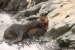 ushuaia-1-341