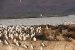 ushuaia-2-177