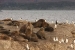 ushuaia-2-182