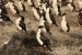 ushuaia-2-251