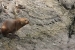 ushuaia-2-324