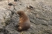 ushuaia-2-326