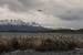 ushuaia-2-459