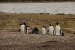 ushuaia-262
