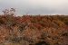 ushuaia-3-201