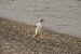 ushuaia-357