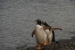 ushuaia-449