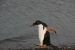 ushuaia-465