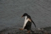 ushuaia-467