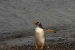 ushuaia-468