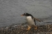 ushuaia-470