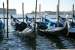 venice-2_0376