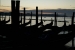 venice-3_0059