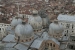 venice-3_0464