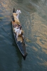 2011-Venice-2-281
