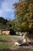 7-lakes-route-villa-de-angostura-126