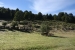 7-lakes-route-villa-de-angostura-131