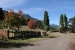 7-lakes-route-villa-de-angostura-141