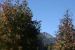 7-lakes-route-villa-de-angostura-206