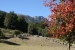 7-lakes-route-villa-de-angostura-210