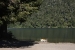 7-lakes-route-villa-de-angostura-214