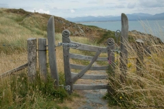 20130726_wales_0417