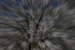 washington-149.jpg