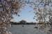 washington-197.jpg