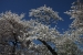 washington-205.jpg