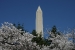 washington-229.jpg