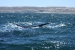 Puerto Madryn 134.jpg