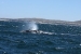 Puerto Madryn 148.jpg