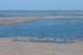 Puerto Madryn 261.jpg