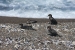 Puerto Madryn 274.jpg