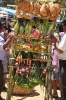 Yamparais 431.jpg
