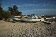 thumb_20161207_ISLAMUJERES 2_00539973_1024