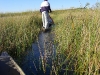 Zambia20080705_0106.jpg