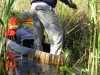 Zambia20080705_0107.jpg