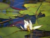 Zambia20080705_0108.jpg