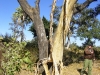 Zambia20080705_0110.jpg