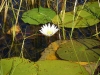 Zambia20080705_0112.jpg