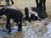 zambia 047.jpg