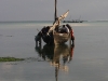 Zanzibar Fishing Village20080730_0147.jpg