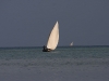 Zanzibar Fishing Village20080730_0151.jpg