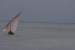 tanzania 4 027001.jpg