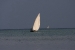 zanzibar 1 060.jpg