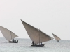 zanzibar beach20080728_0032.jpg