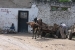 zanzuvar 002.jpg
